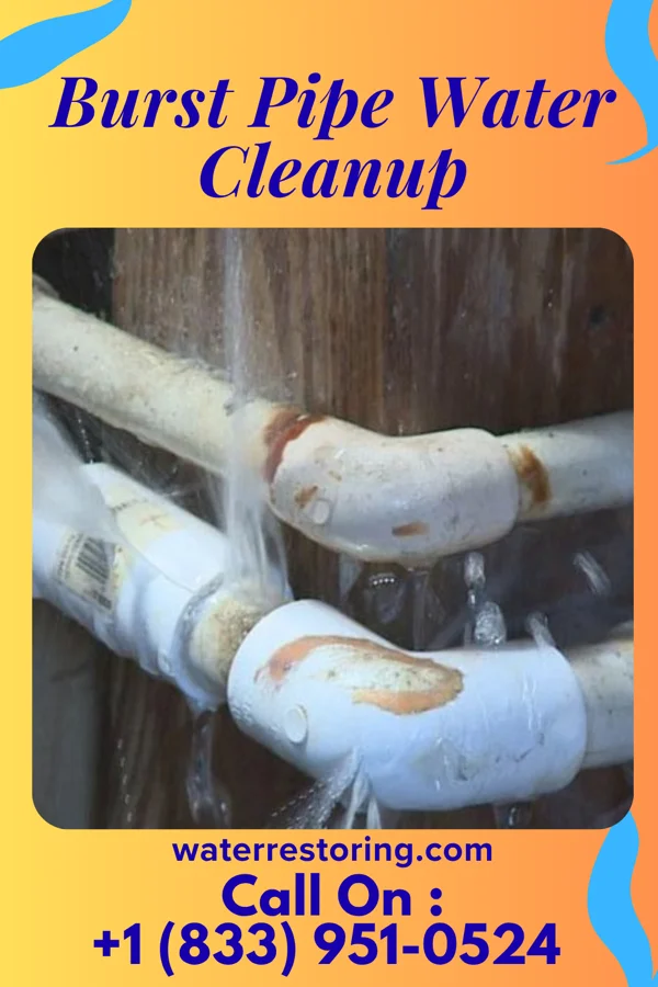 Burst Pipe Water Cleanup in South Lebanon, OH