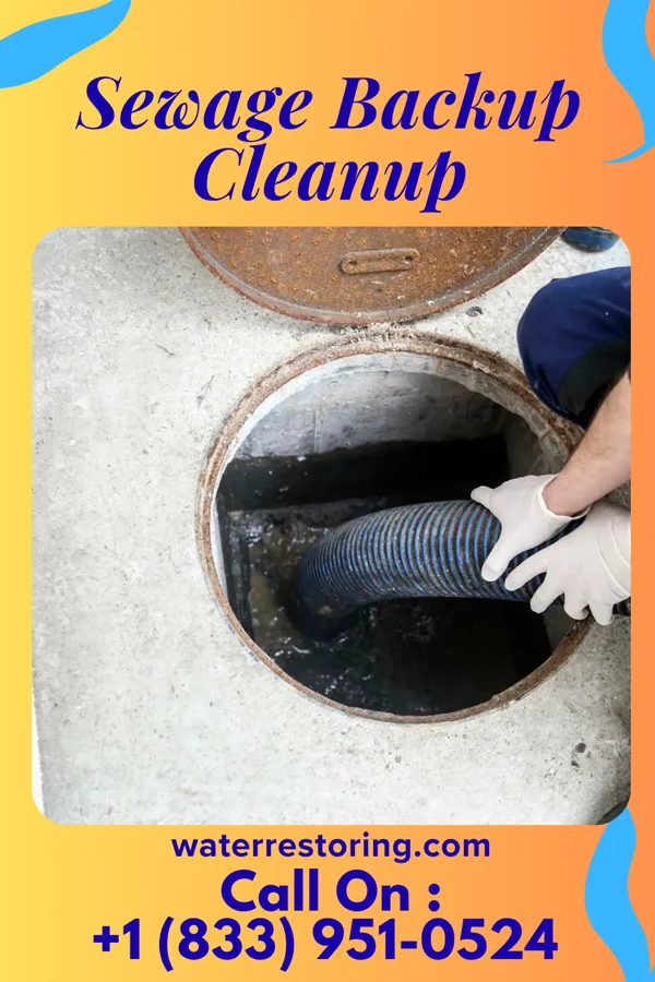 Sewage Backup Cleanup in South Lebanon, OH