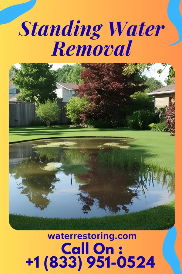 Standing Water Removal in South Lebanon, OH